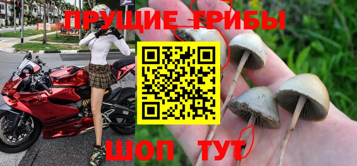Галлюциногенные грибы мицелий Черногорск